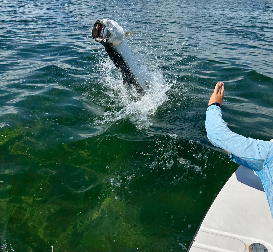 Big Pine Key Fly Or Light Tackle In Big Pine Key