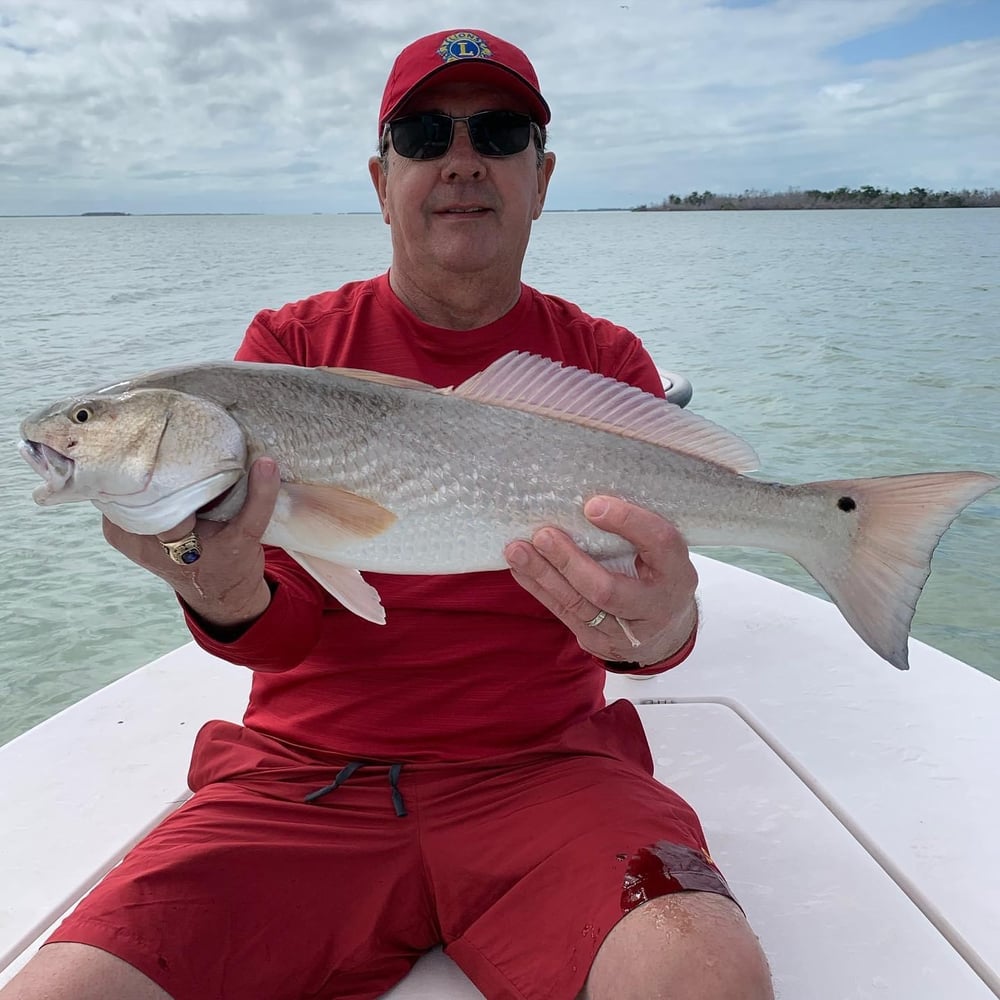 Big Pine Key Fly Or Light Tackle In Big Pine Key