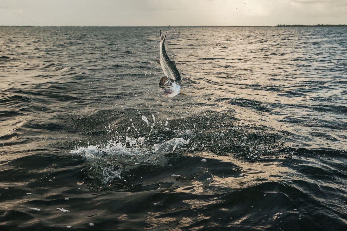 Big Pine Key Fly Or Light Tackle In Big Pine Key