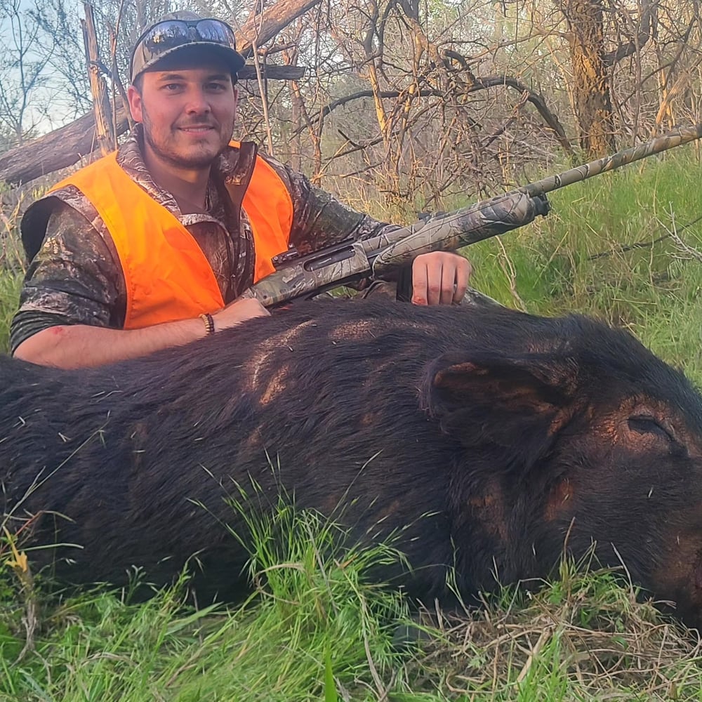 Unlimited-Hog-Hunts In Seymour