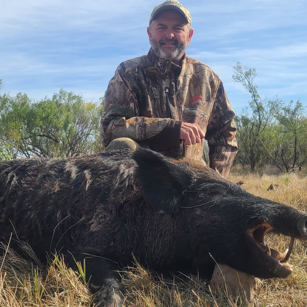 Unlimited-Hog-Hunts In Seymour