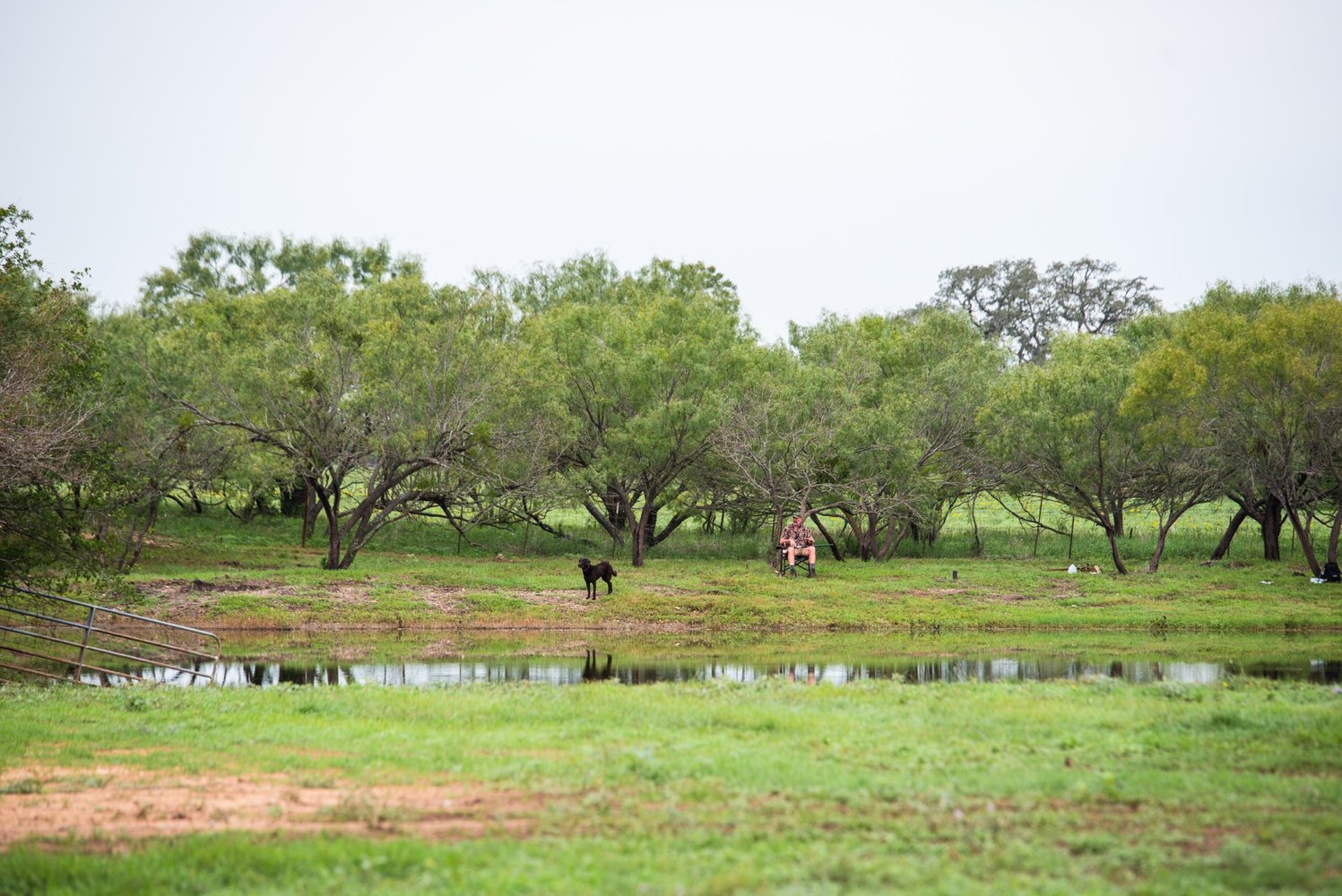 Hondo, TX Dove Hunt In Hondo