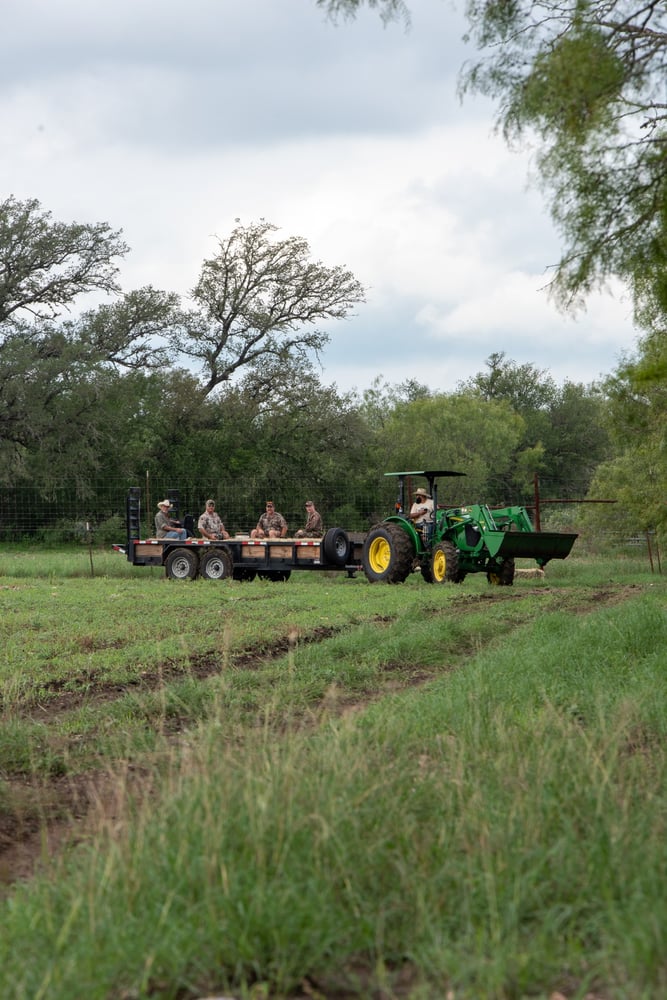 Hondo, TX Dove Hunt In Hondo