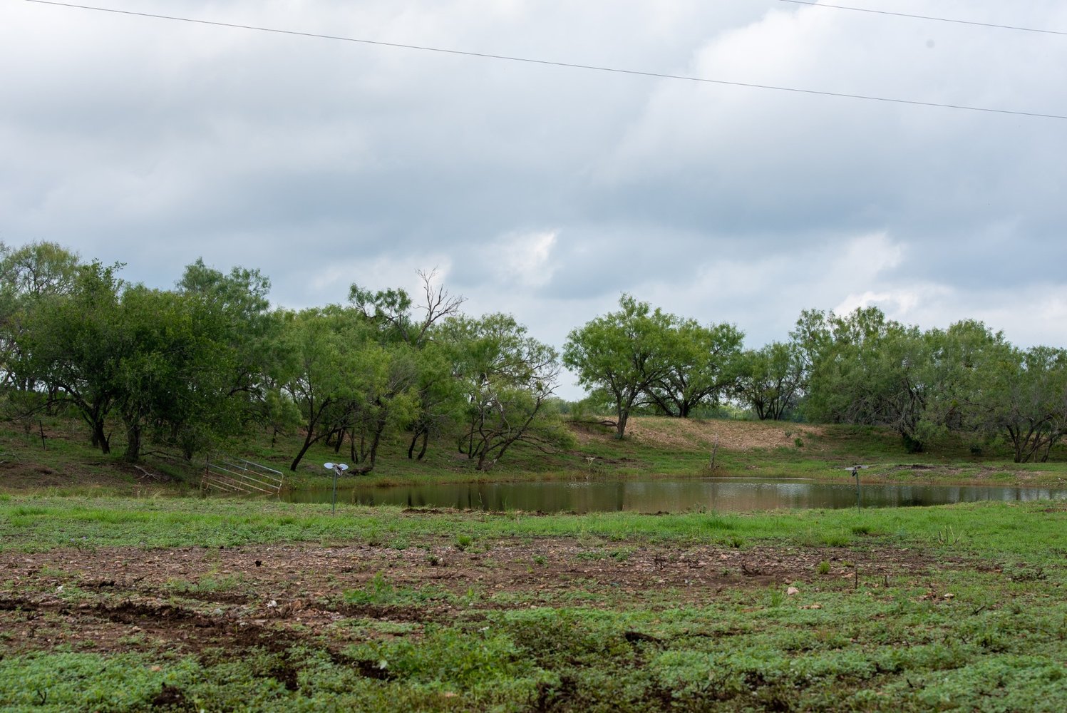 Hondo, TX Dove Hunt In Hondo