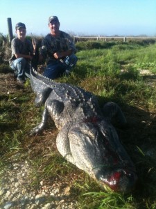 Texas Alligator Hunt (Archery Available) In Beaumont