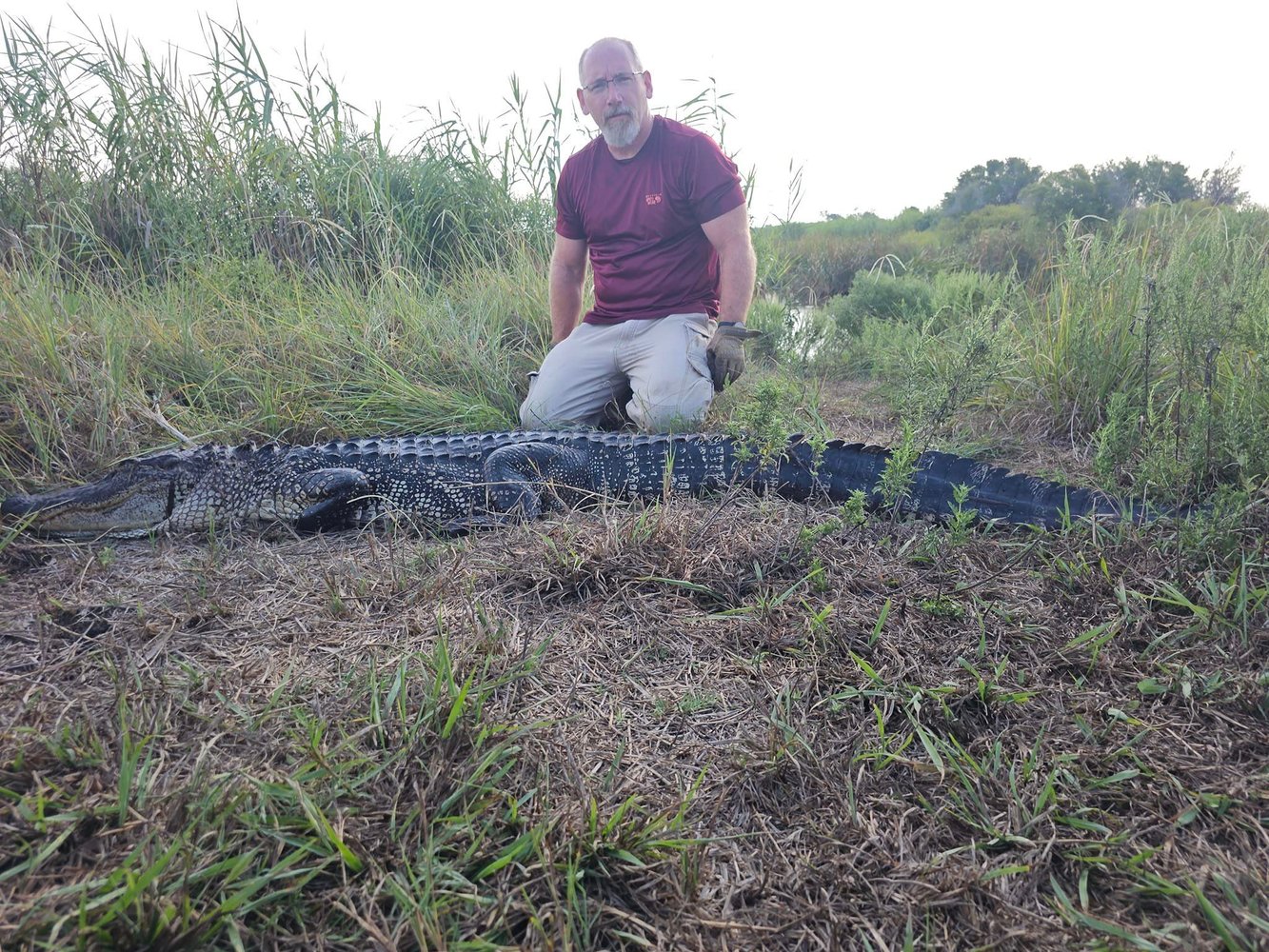 Texas Alligator Hunt (Archery Available) In Beaumont