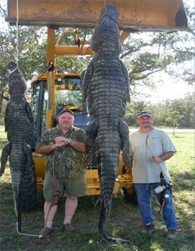 Texas Alligator Hunt (Archery Available) In Beaumont