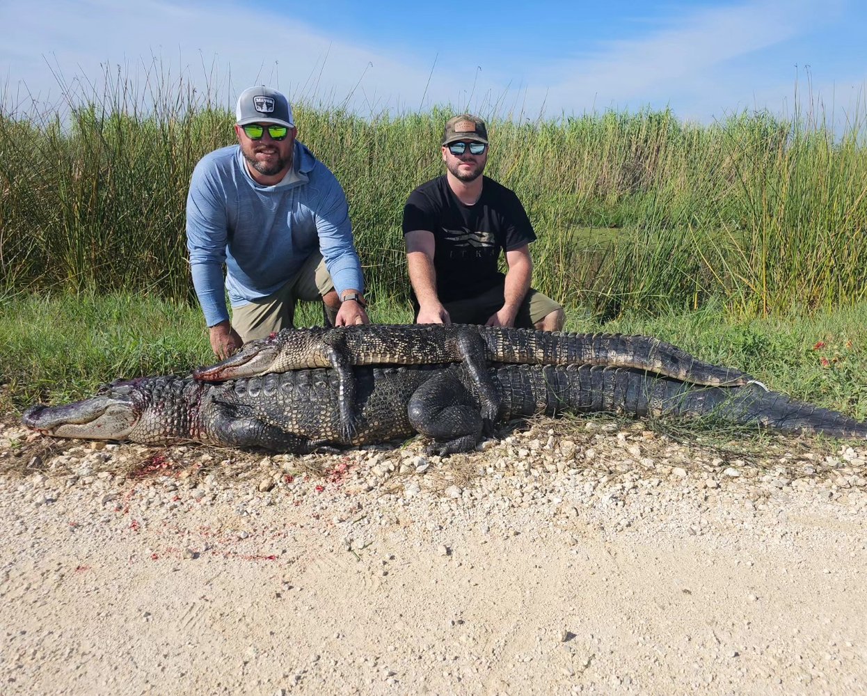 Texas Alligator Hunt (Archery Available) In Beaumont