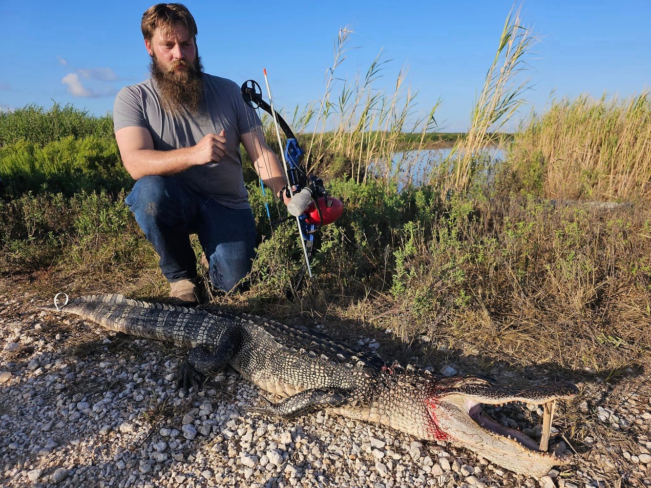 Texas Alligator Hunt (Archery Available) In Beaumont