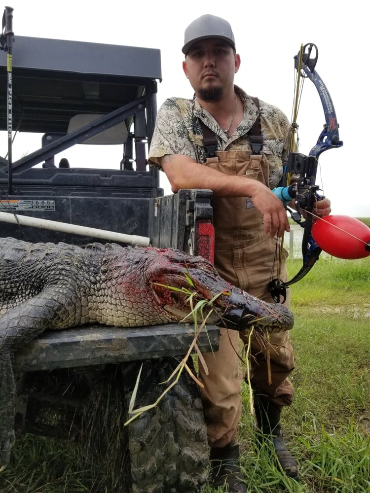 Texas Alligator Hunt (Archery Available) In Beaumont