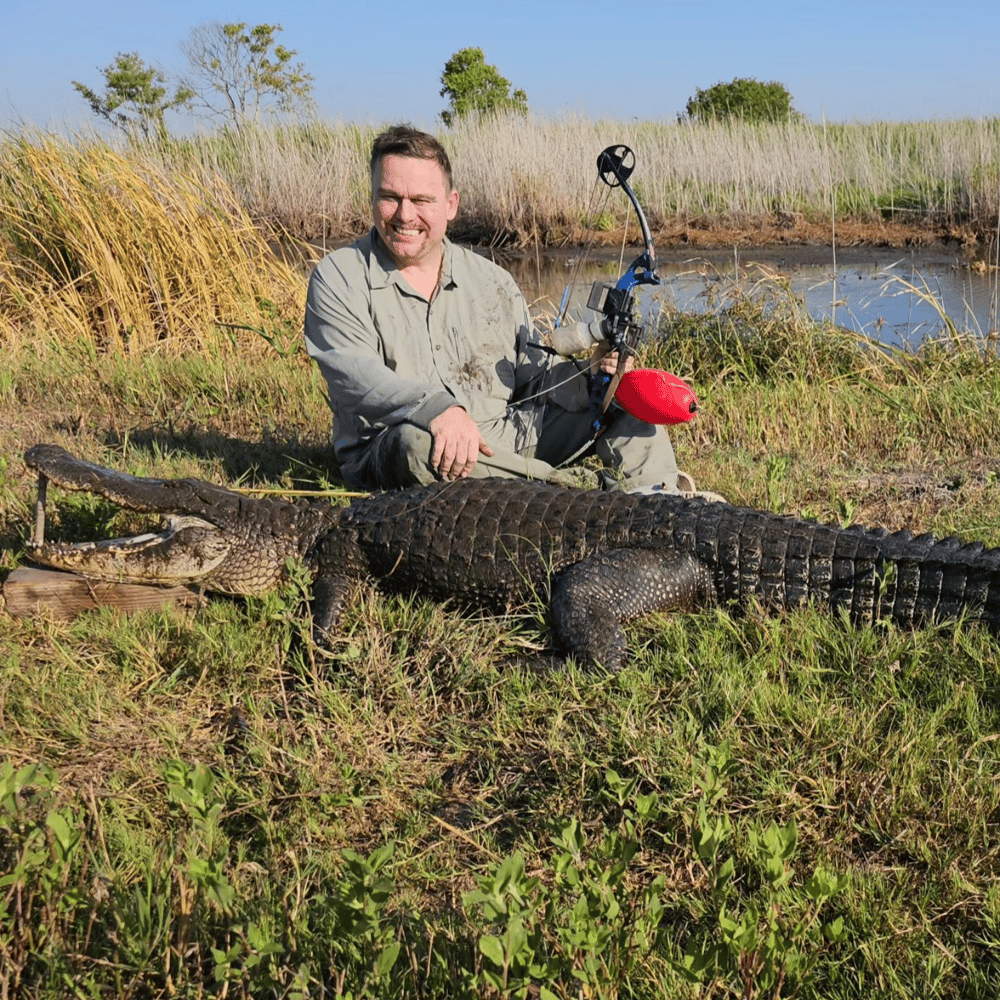 Texas Alligator Hunt (Archery Available) In Beaumont