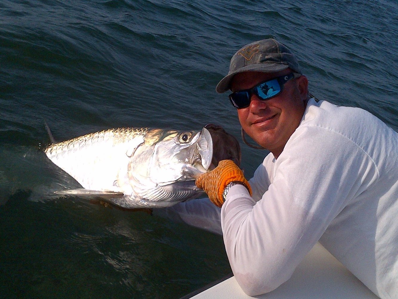 Tarpon On Natural Bait In Islamorada