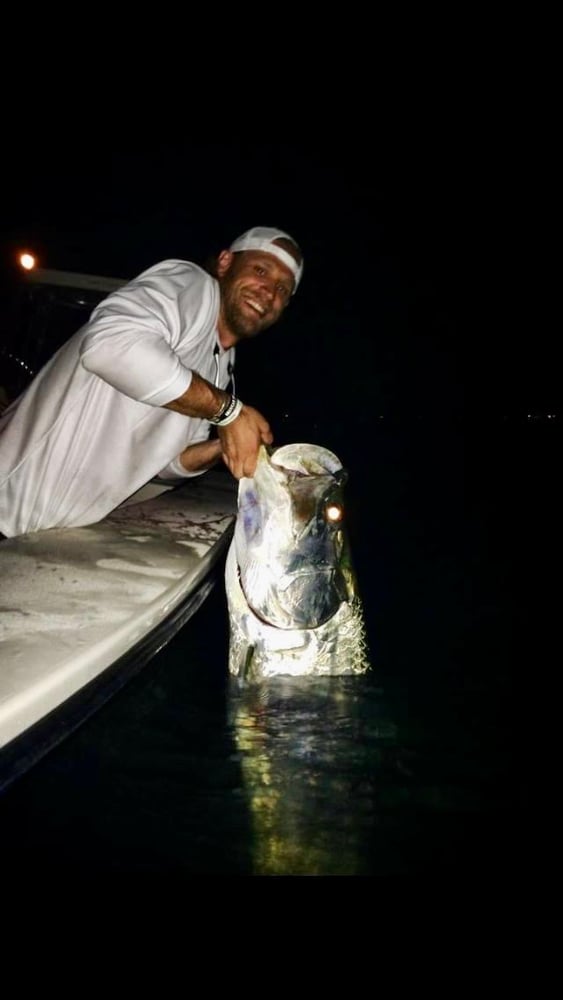 Tarpon On Natural Bait In Islamorada