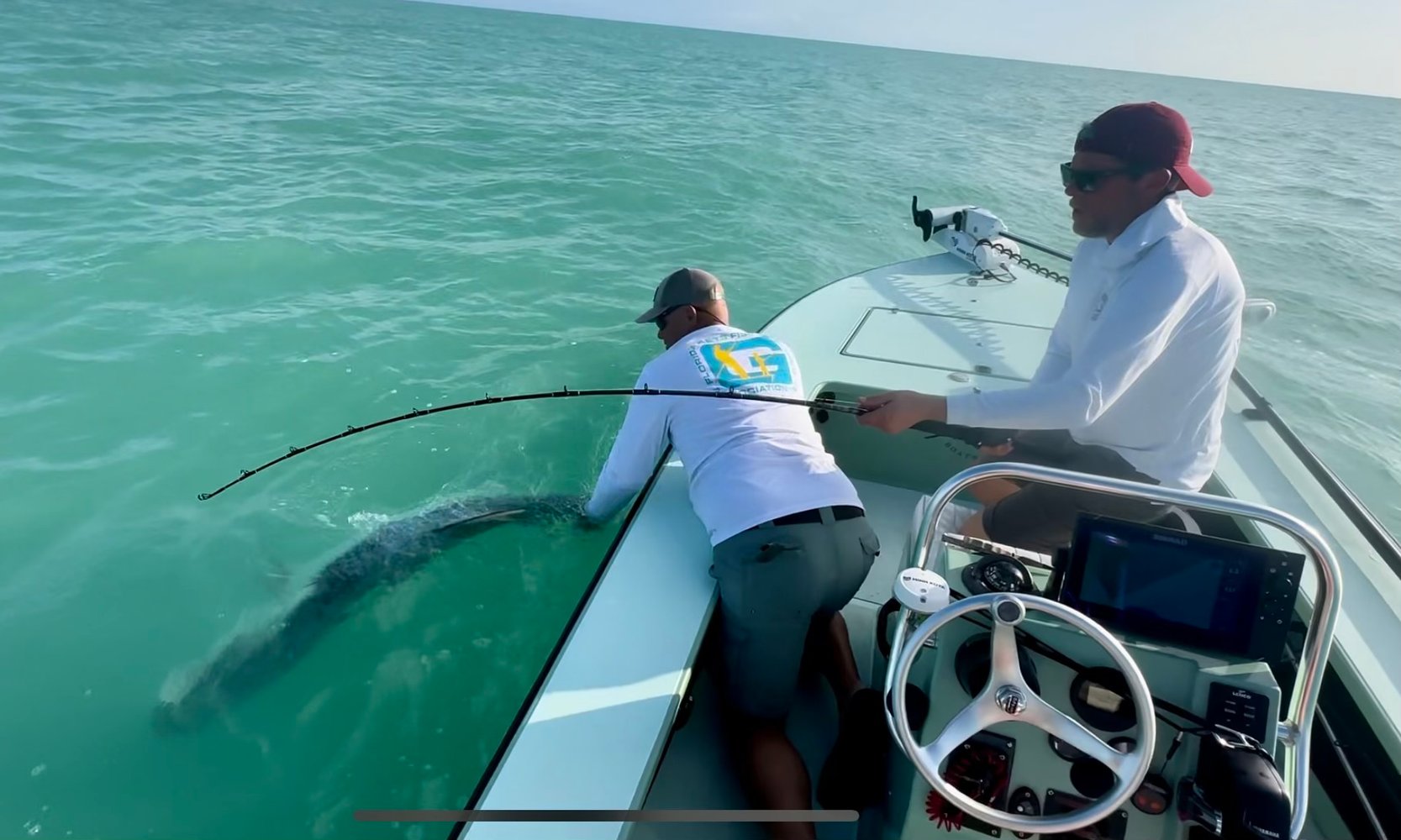 Tarpon On Natural Bait In Islamorada