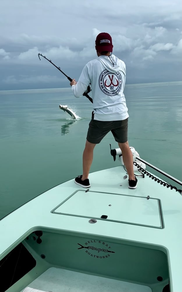 Tarpon On Natural Bait In Islamorada