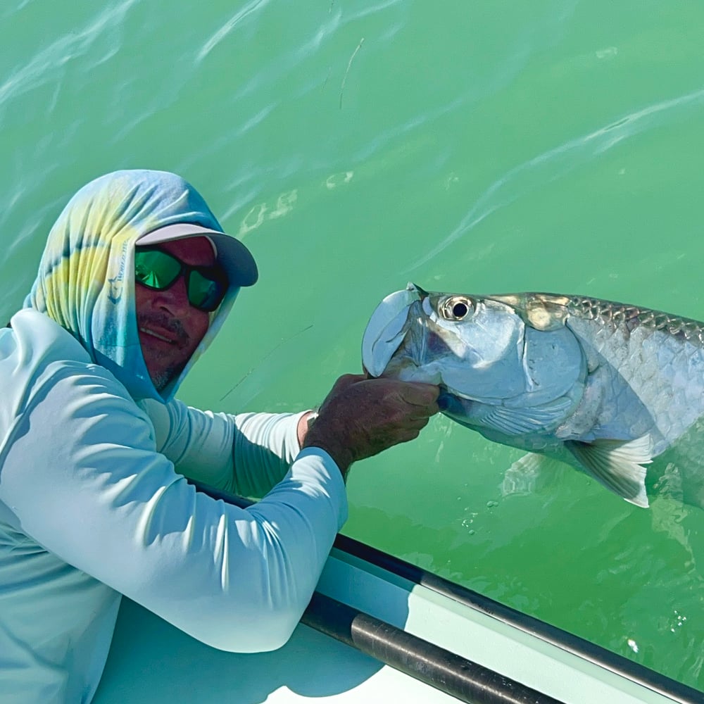 Tarpon On Natural Bait In Islamorada