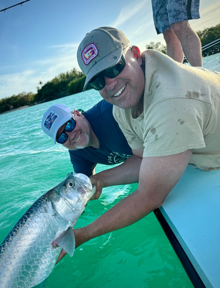 Tarpon On Natural Bait In Islamorada