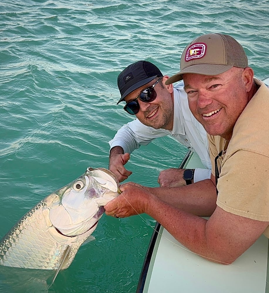 Tarpon On Natural Bait In Islamorada