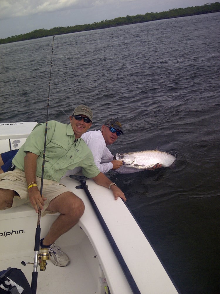 Tarpon On Natural Bait In Islamorada