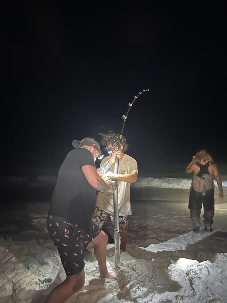 Shark Fishing In Destin