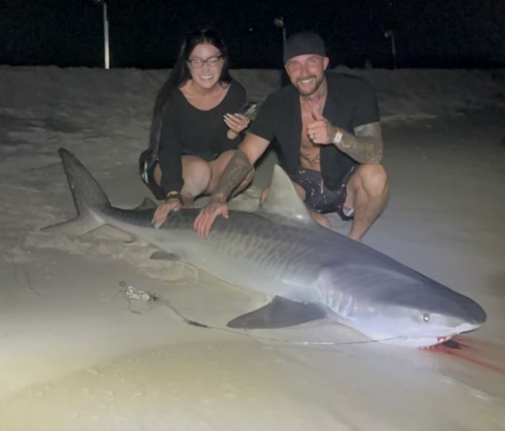 Shark Fishing In Destin