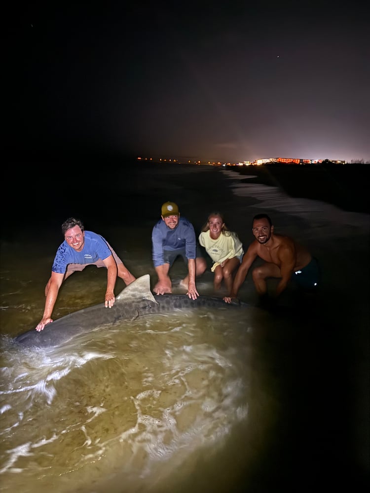 Shark Fishing In Destin