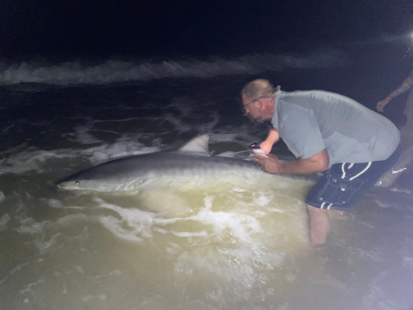 Shark Fishing In Destin