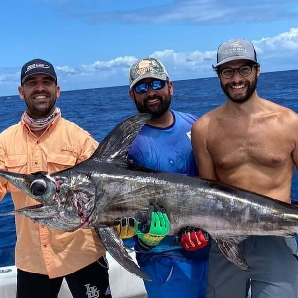 Chase Giants From Big Pine Key In Big Pine Key