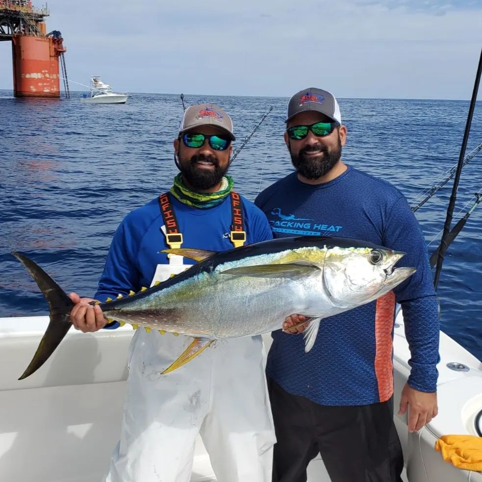 Chase Giants From Big Pine Key In Big Pine Key