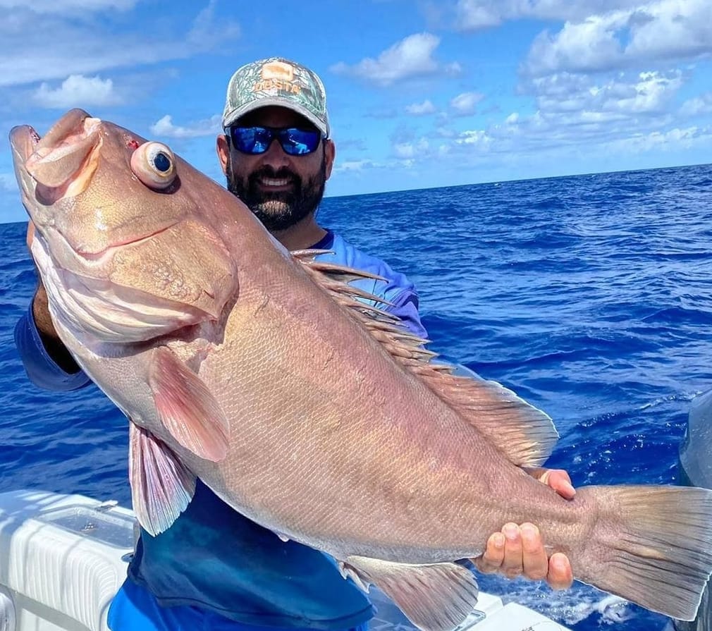 Chase Giants From Big Pine Key In Big Pine Key