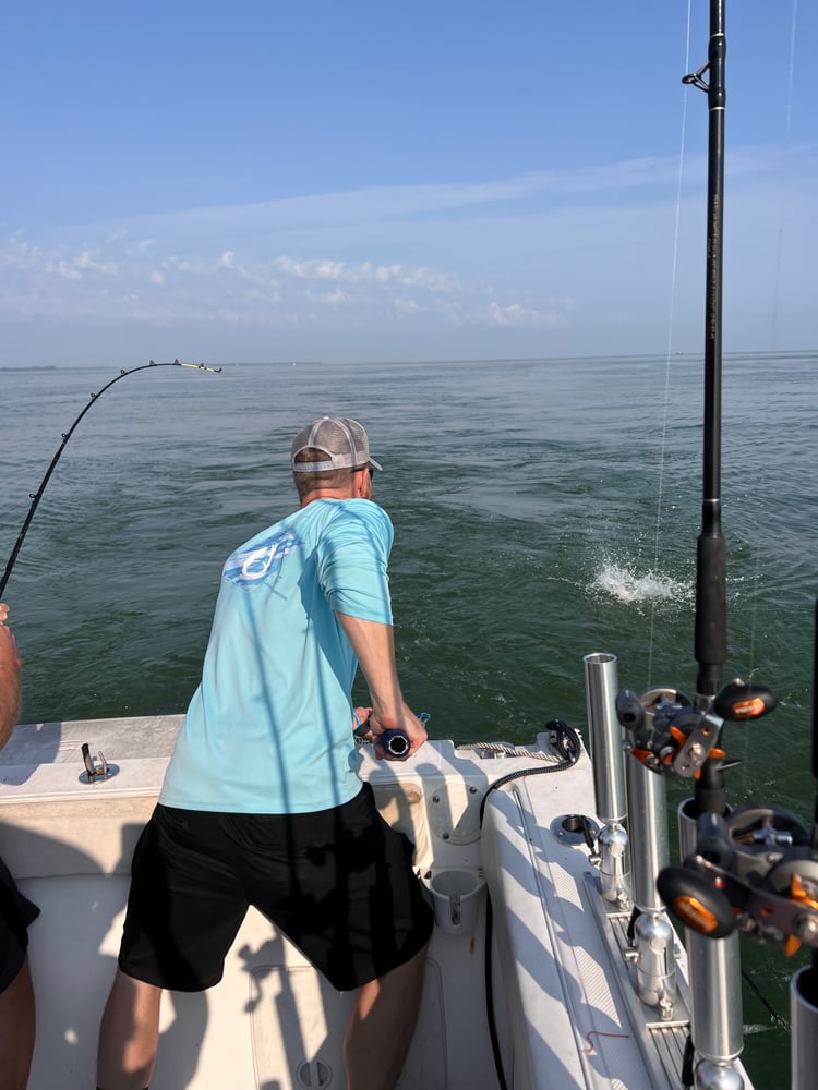 Lake Erie Yellow Perch Charter In Oak Harbor