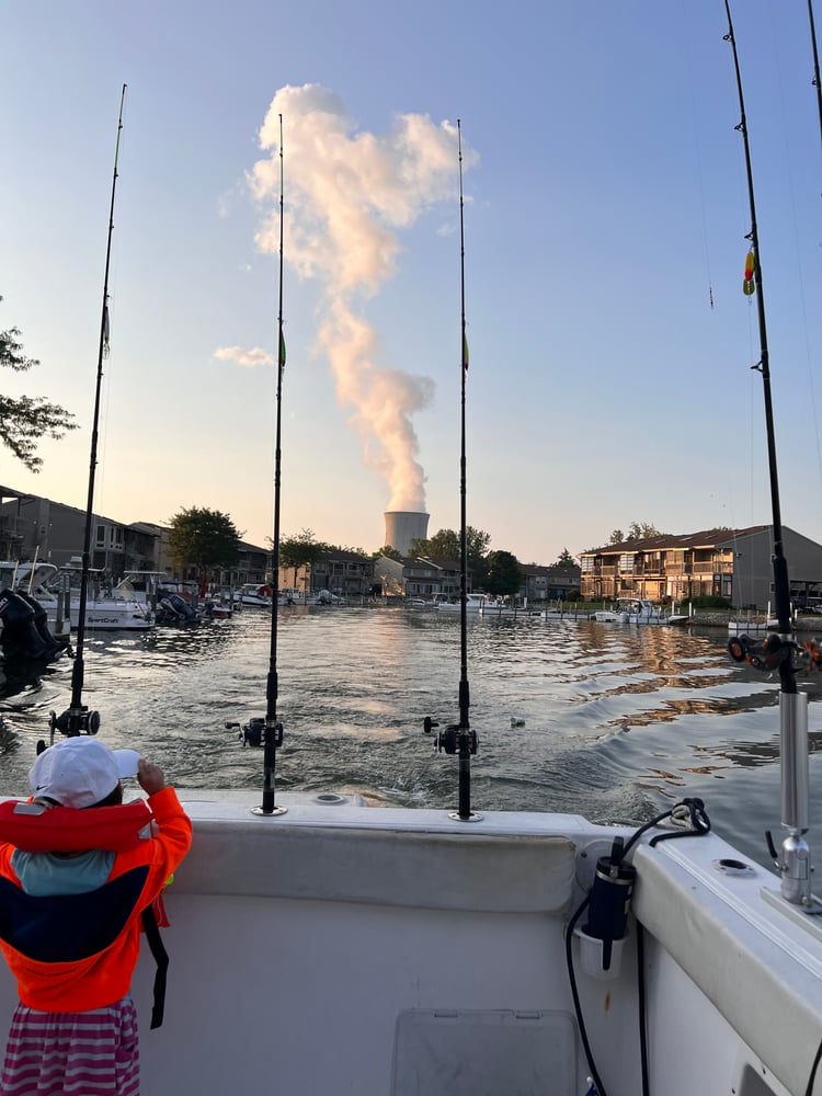 Lake Erie Yellow Perch Charter In Oak Harbor