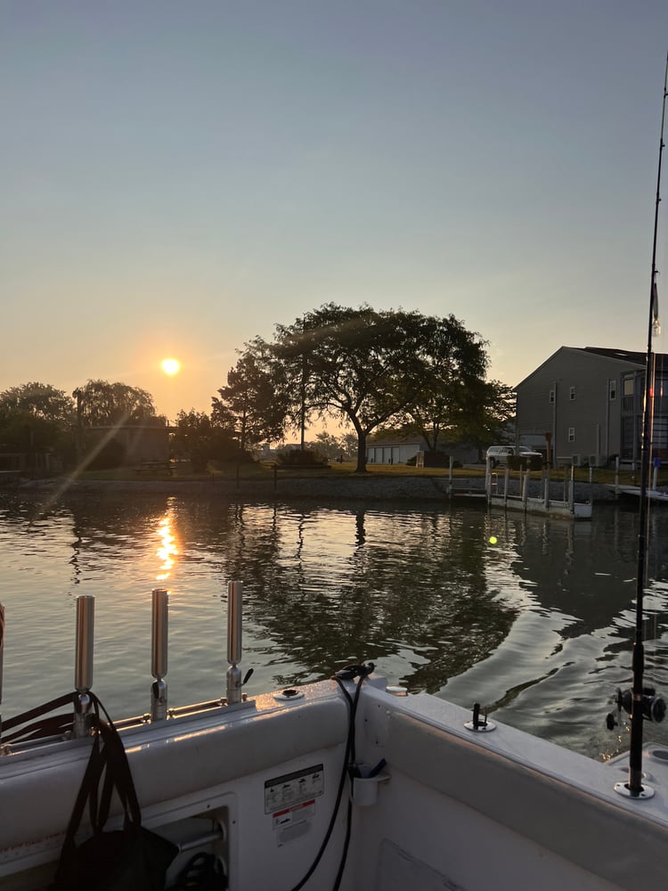 Lake Erie Yellow Perch Charter In Oak Harbor