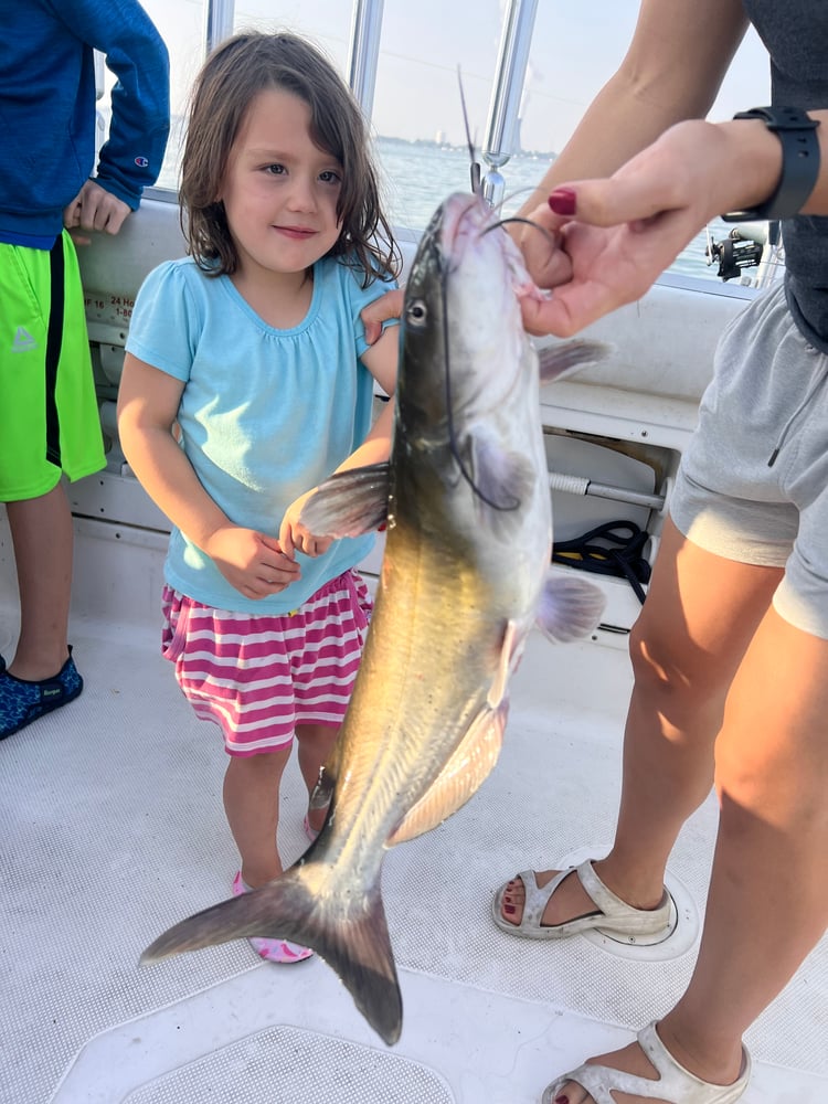 Lake Erie Yellow Perch Charter In Oak Harbor