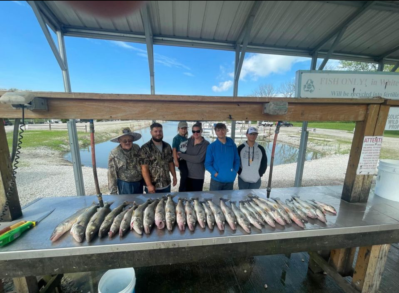 Lake Erie Trophy Walleye Trip In Oak Harbor