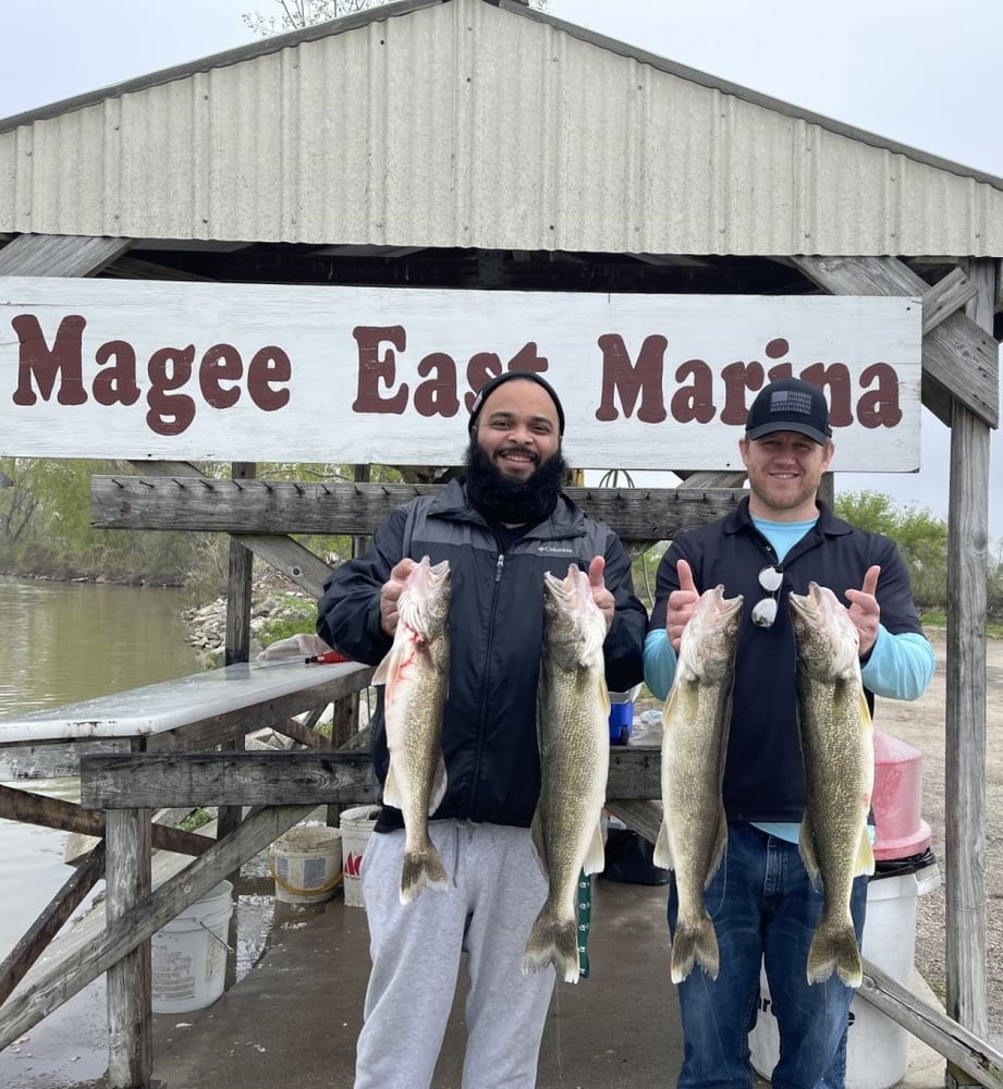 Lake Erie Trophy Walleye Trip In Oak Harbor