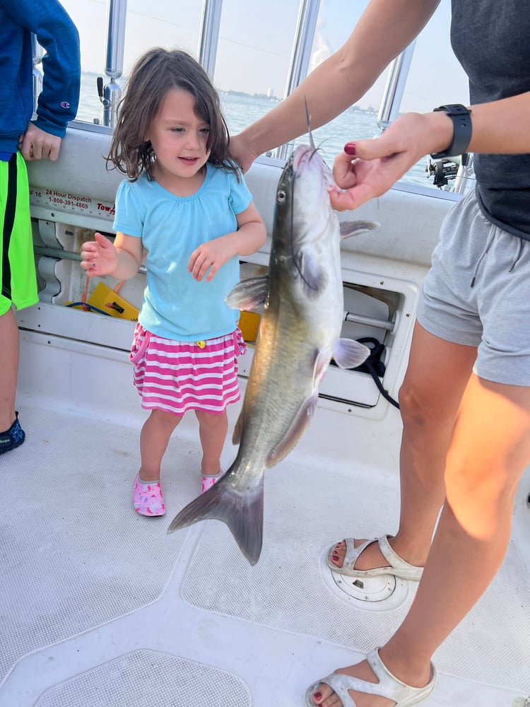 Lake Erie Trophy Walleye Trip In Oak Harbor