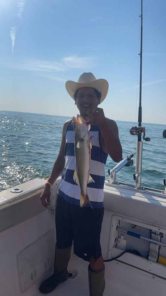 Lake Erie Trophy Walleye Trip In Oak Harbor