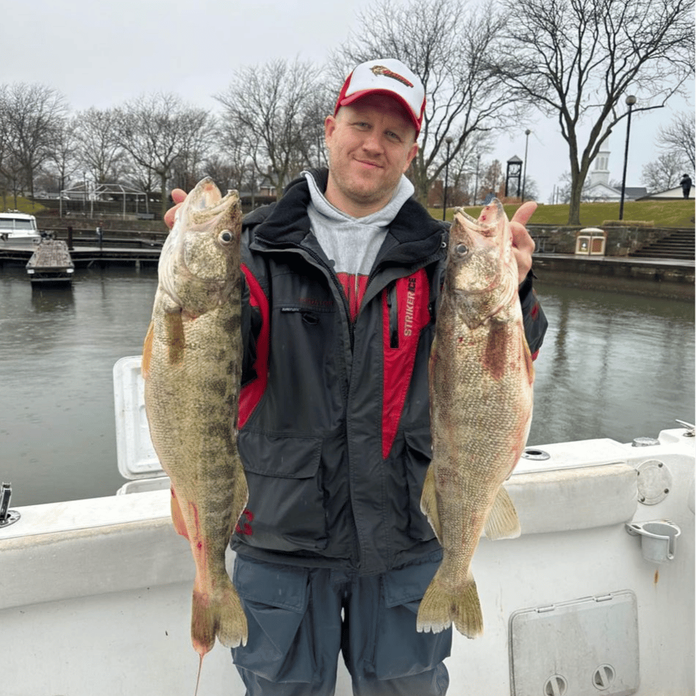 Lake Erie Trophy Walleye Trip In Oak Harbor