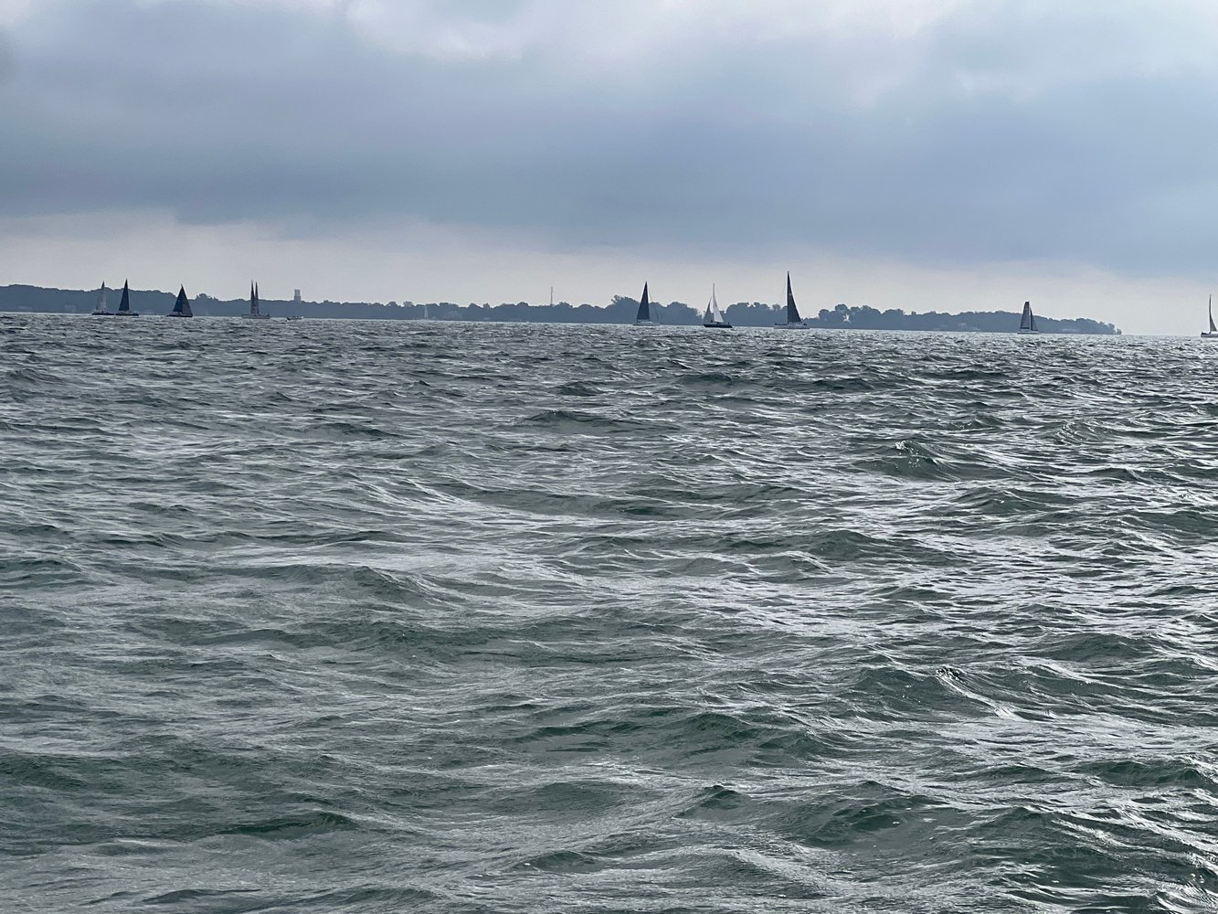 Lake Erie Trophy Walleye Trip In Oak Harbor