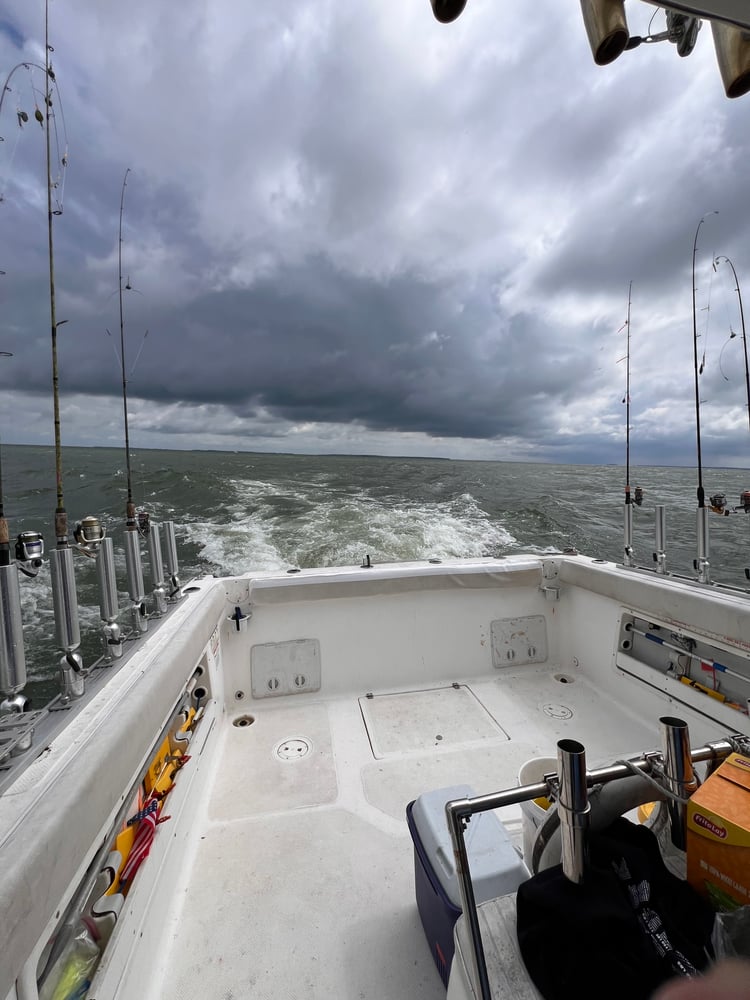 Afternoon Trip Walleye Or Perch In Oak Harbor