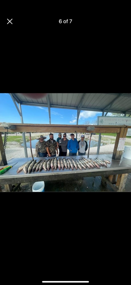 Short Day Trip Perch Or Walleye In Oak Harbor