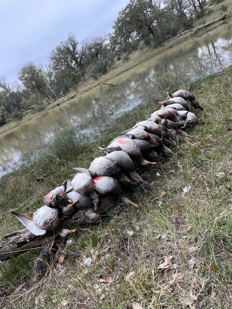 Duck Hunt Trip In Daytona Beach