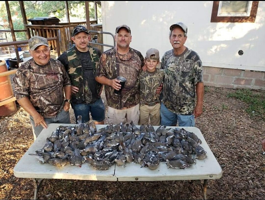 South Texas Dove Hunt In Natalia