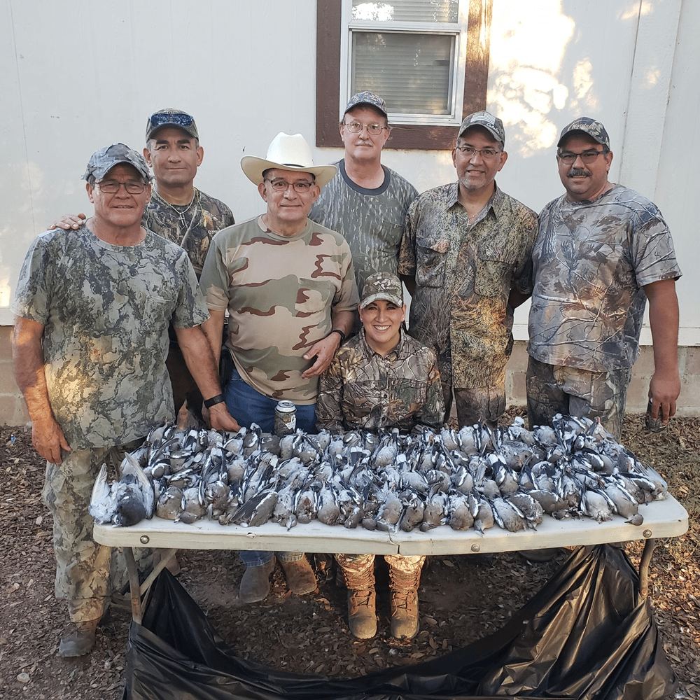 South Texas Dove Hunt In Natalia