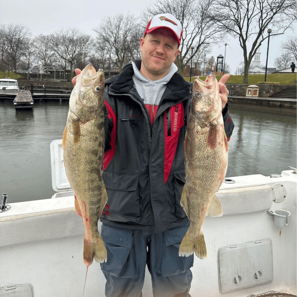 Short PM Trip Perch Or Walleye! In Oak Harbor