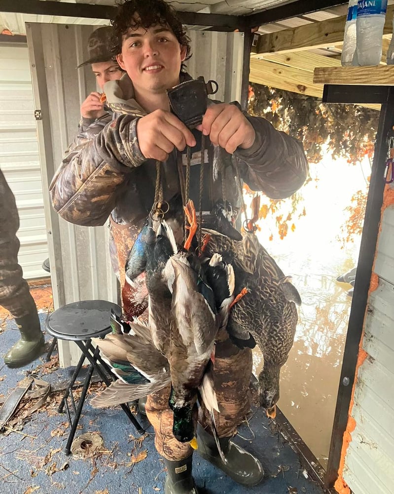 Bootheel Rice / Timber Hunt In Hornersville