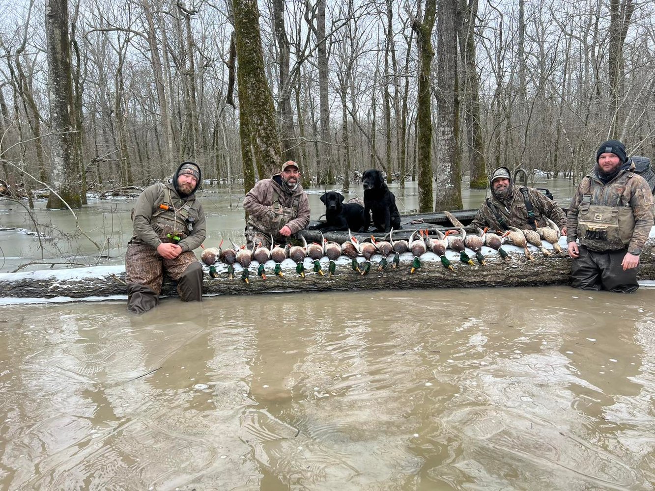 Bootheel Rice / Timber Hunt In Hornersville