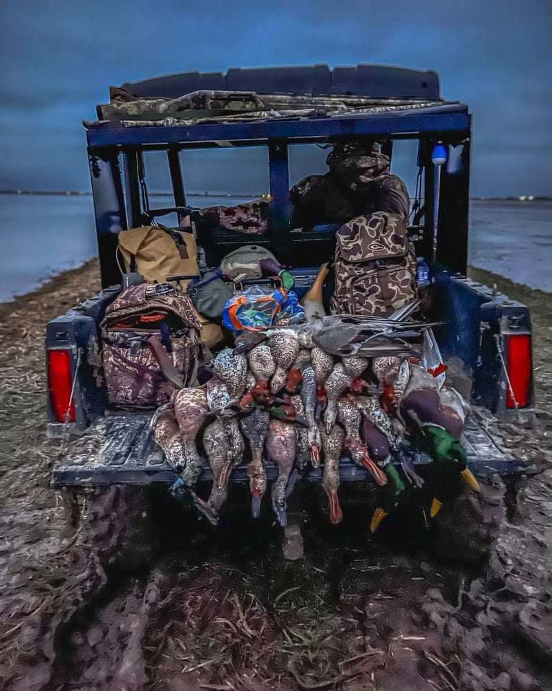 Bootheel Rice / Timber Hunt In Hornersville