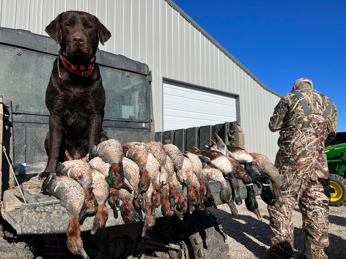 Bootheel Rice / Timber Hunt In Hornersville